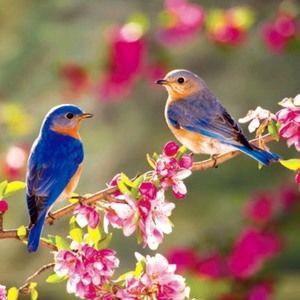 Meet your Posher, Janet